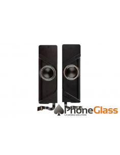 Remplacement Haut Parleur...