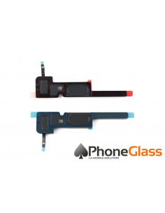 Remplacement Haut Parleur...