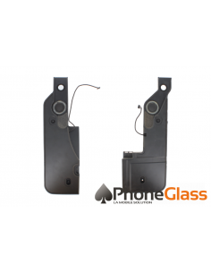 Remplacement Haut-Parleur...