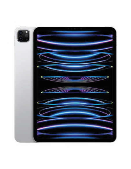 iPad Pro 11" M2 (4eme Gen)