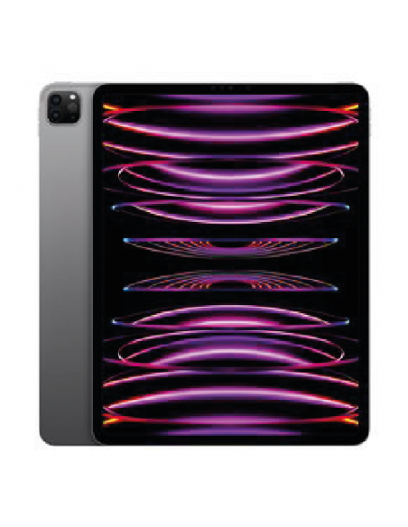 iPad Pro 12,9" M2 (6eme Gen)